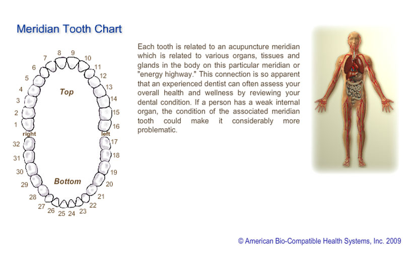 Meridian Tooth Chart in San Antonio