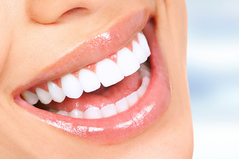 Total Mouth Fitness Special Offer
